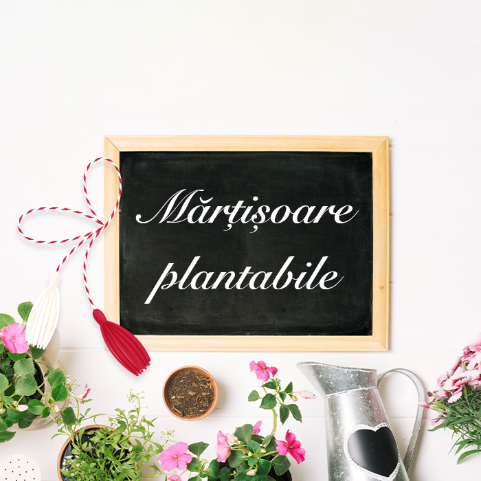 Martisoare si kit-uri plantabile personalizate 