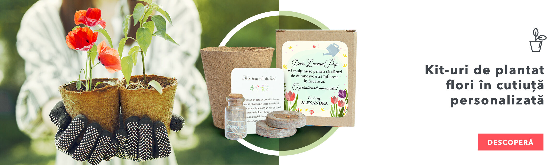 Flower planting kits in a personalised box