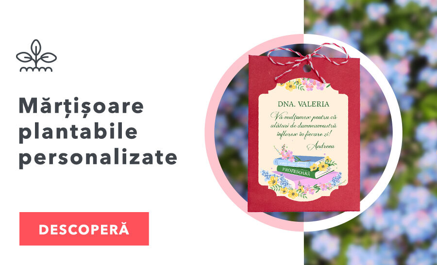 Plantable Martisoare