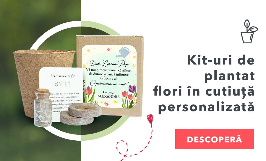 Kit-uri de plantat flori în cutiuță personalizată