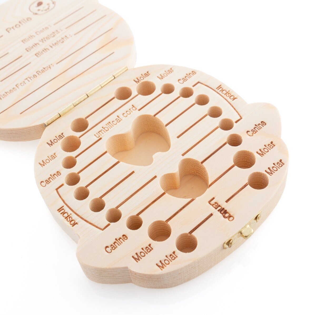 Box for first teeth - girl model