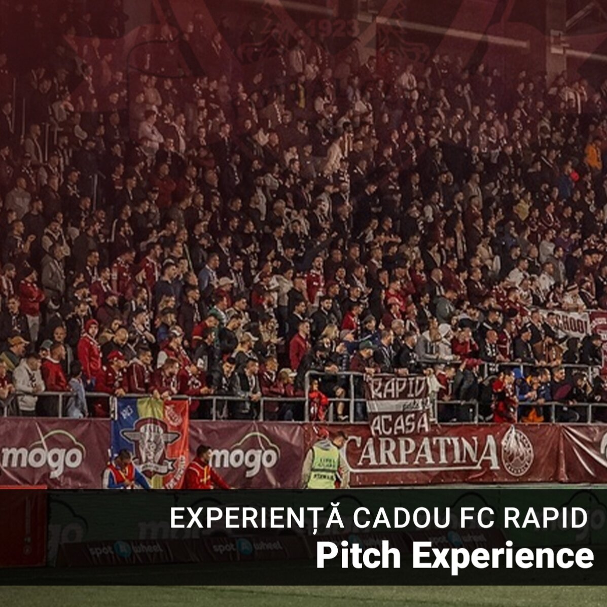 Experiență cadou FC RAPID - Pitch experience