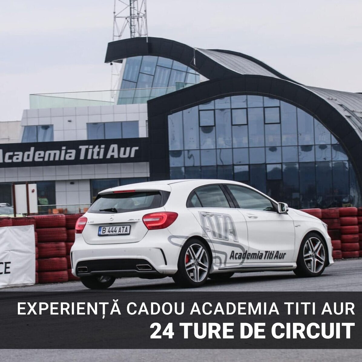 Experiență cadou Platinum -  Academia Titi Aur
