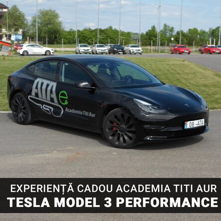 Experiență cadou Performance Tesla - Academia Titi Aur