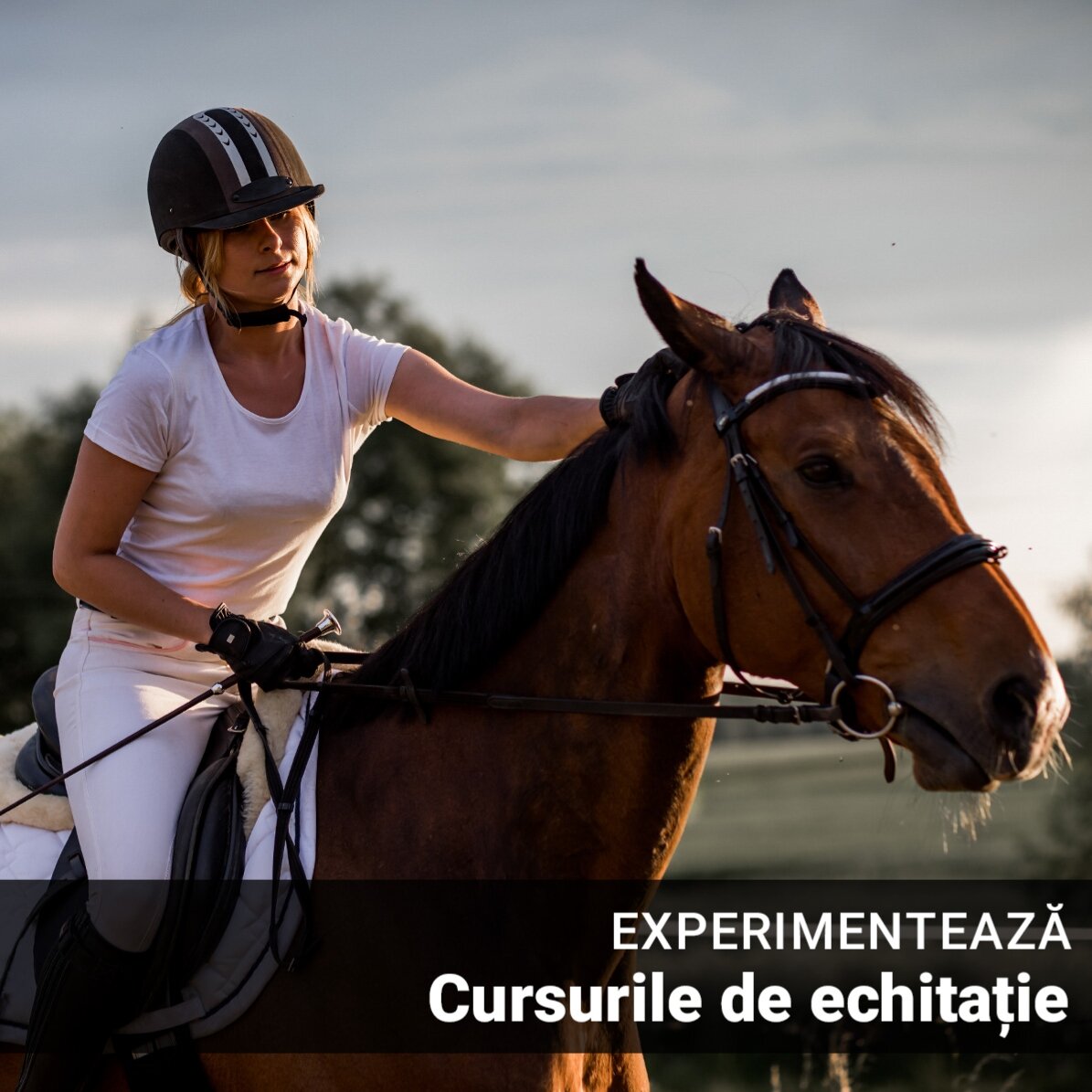 Experiență cadou - Cursuri de Echitație