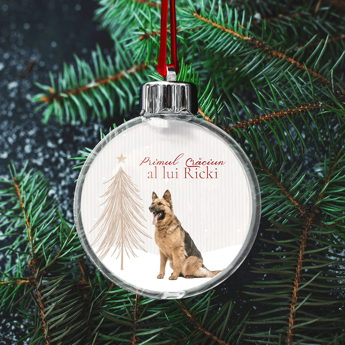 Glob transparent personalizat față-verso cu o poză și mesaj - Primul Crăciun blănos