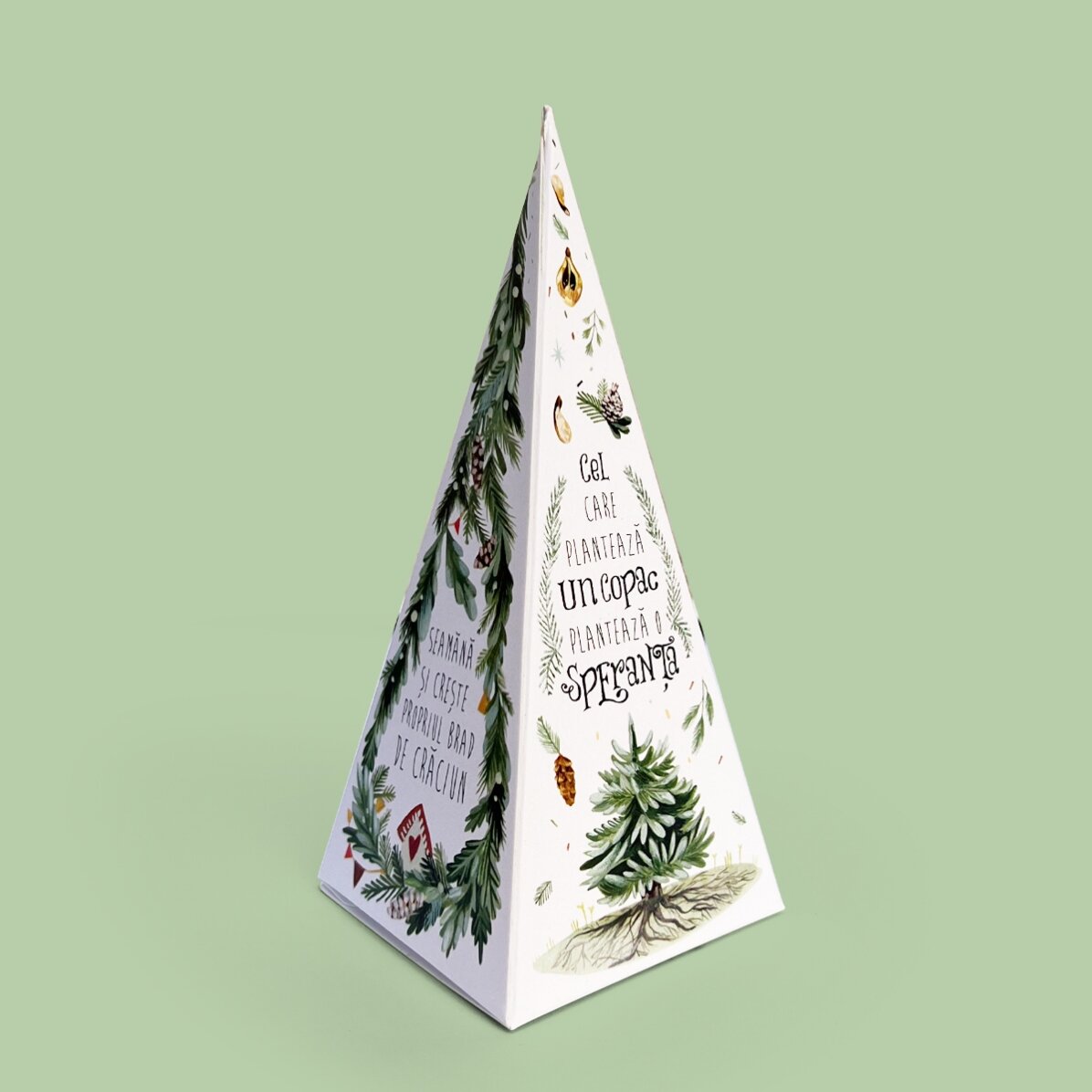 Personalised Christmas tree planting kit with logo and message - Merry Christmas