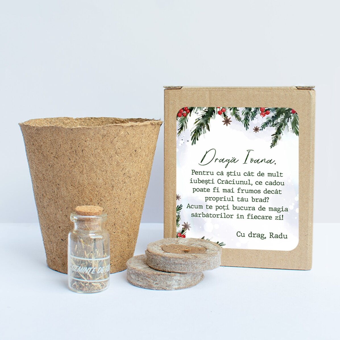 Kit de plantat semințe de brad în cutiuță personalizată cu mesaj de Crăciun