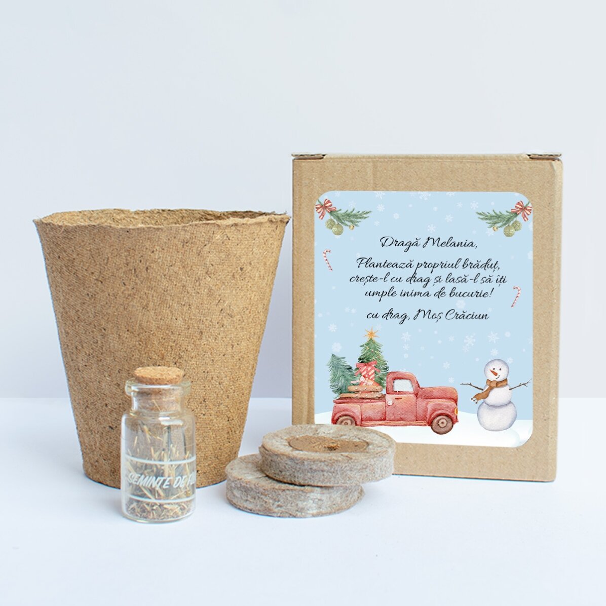 Kit de plantat semințe de brad în cutiuță personalizată cu mesaj - Winter
