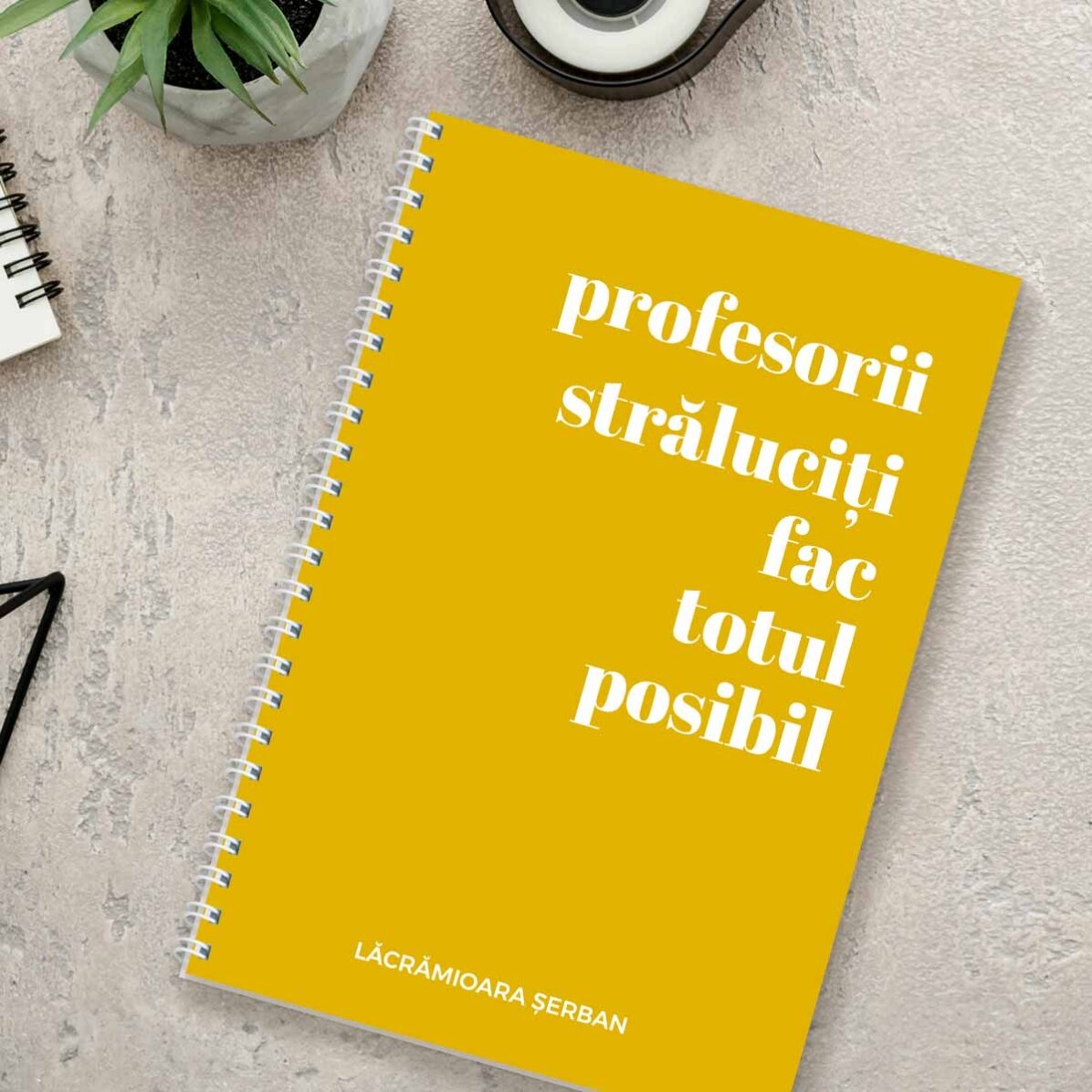 Notebook personalizat cu text - Profesori străluciți