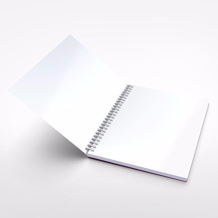 Notebook personalizat - Work Hard, Dream Big