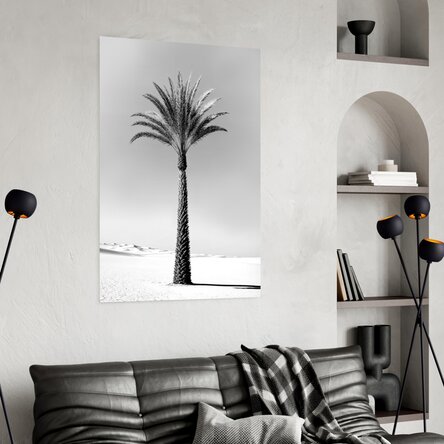 Poster Black and white palm tree
