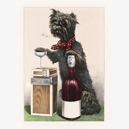 Poster Cățel vesel