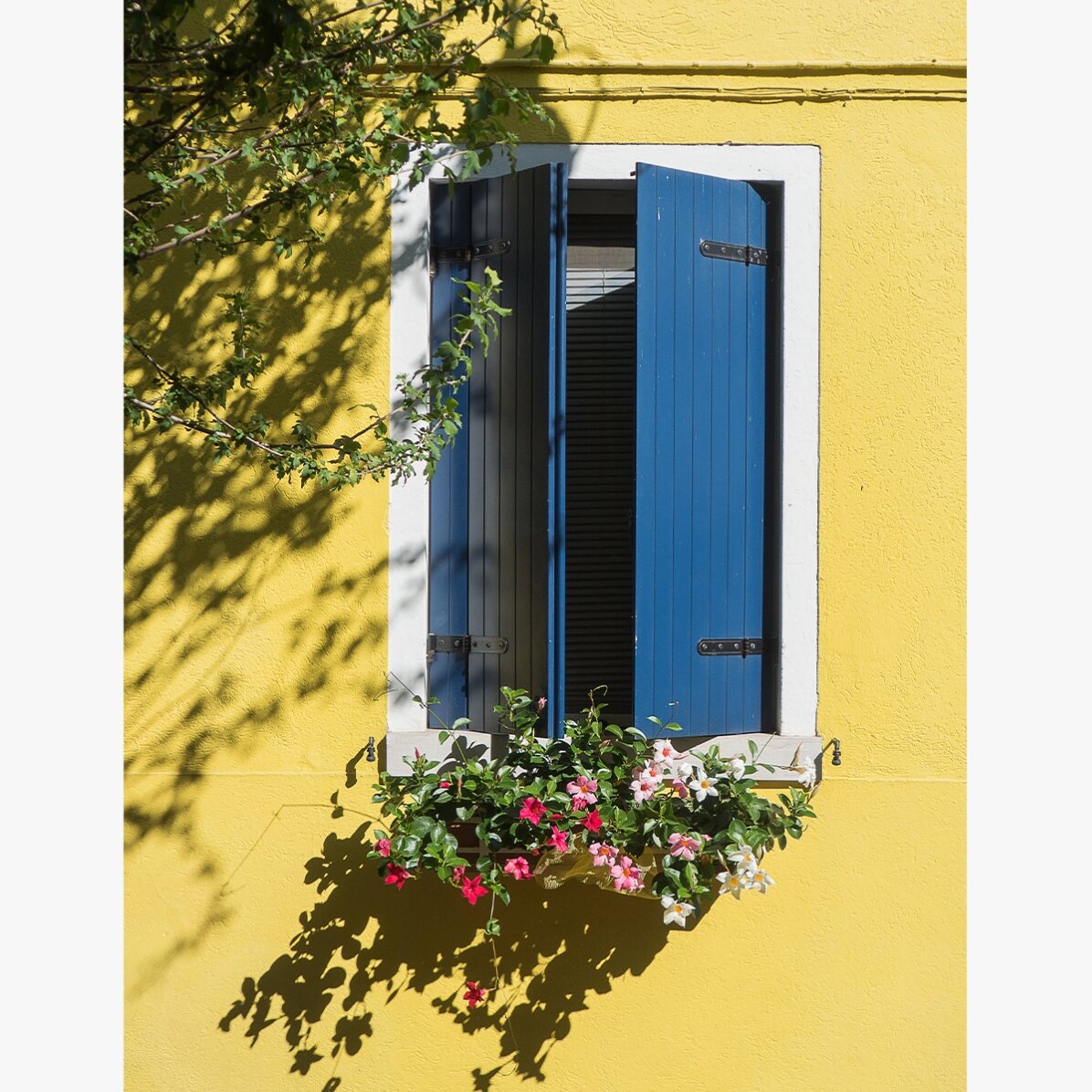 Poster Fereastră albastră cu flori