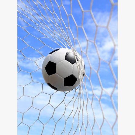 Poster Minge în poarta de fotbal