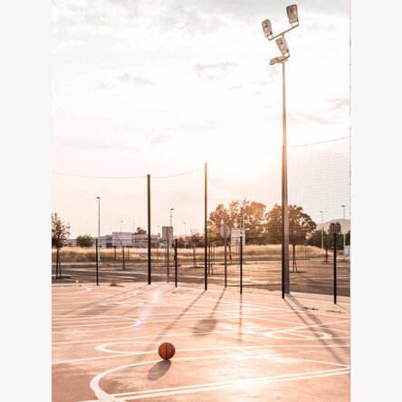 Poster Teren de Baschet