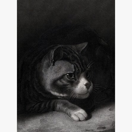 Poster William Gil, Pisică vigilentă privind prin umbre 1855