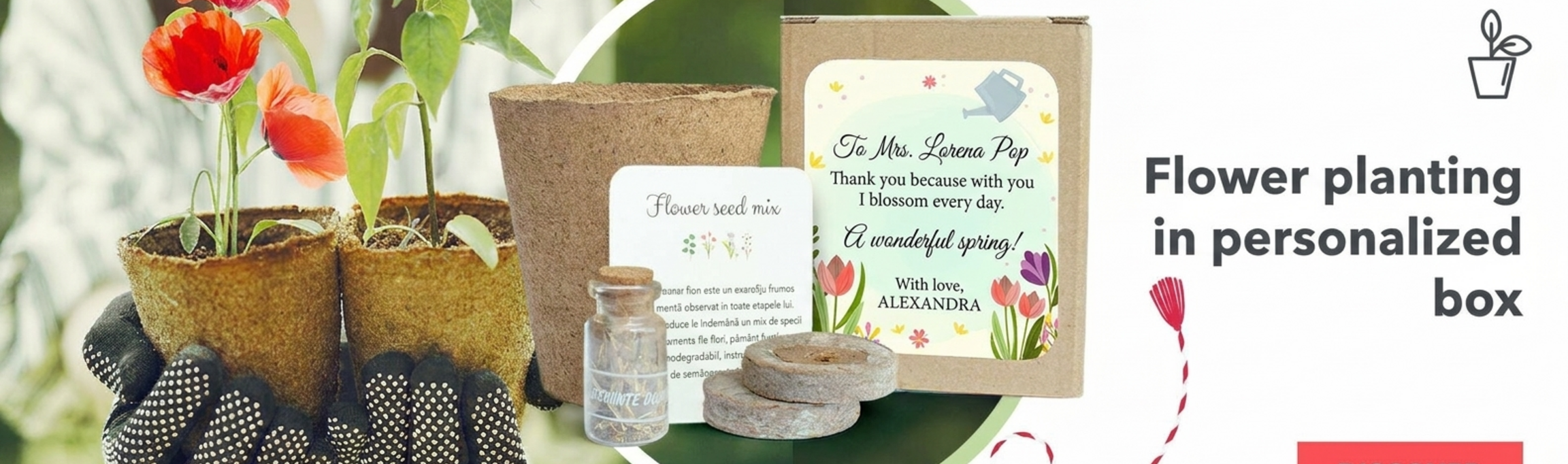 Flower planting kits in a personalised box