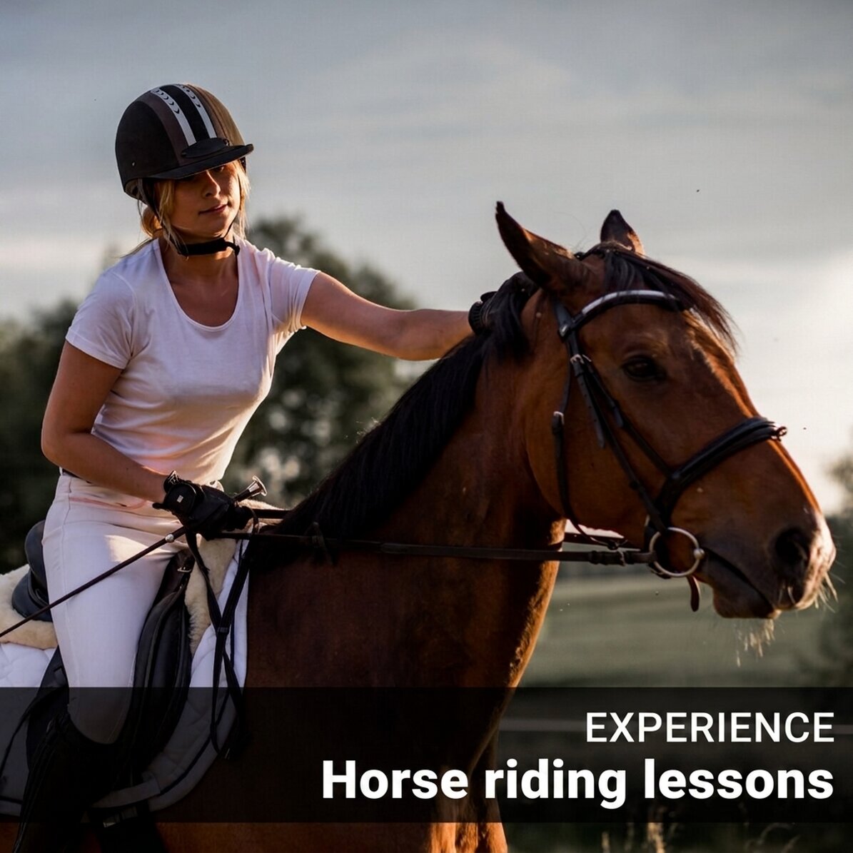 Gift Experience - Horse Riding Lessons