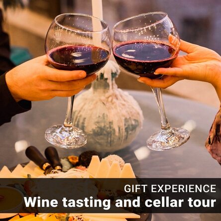 Gift experience - Wine tasting for 2 people and tour of the Budureasca winery