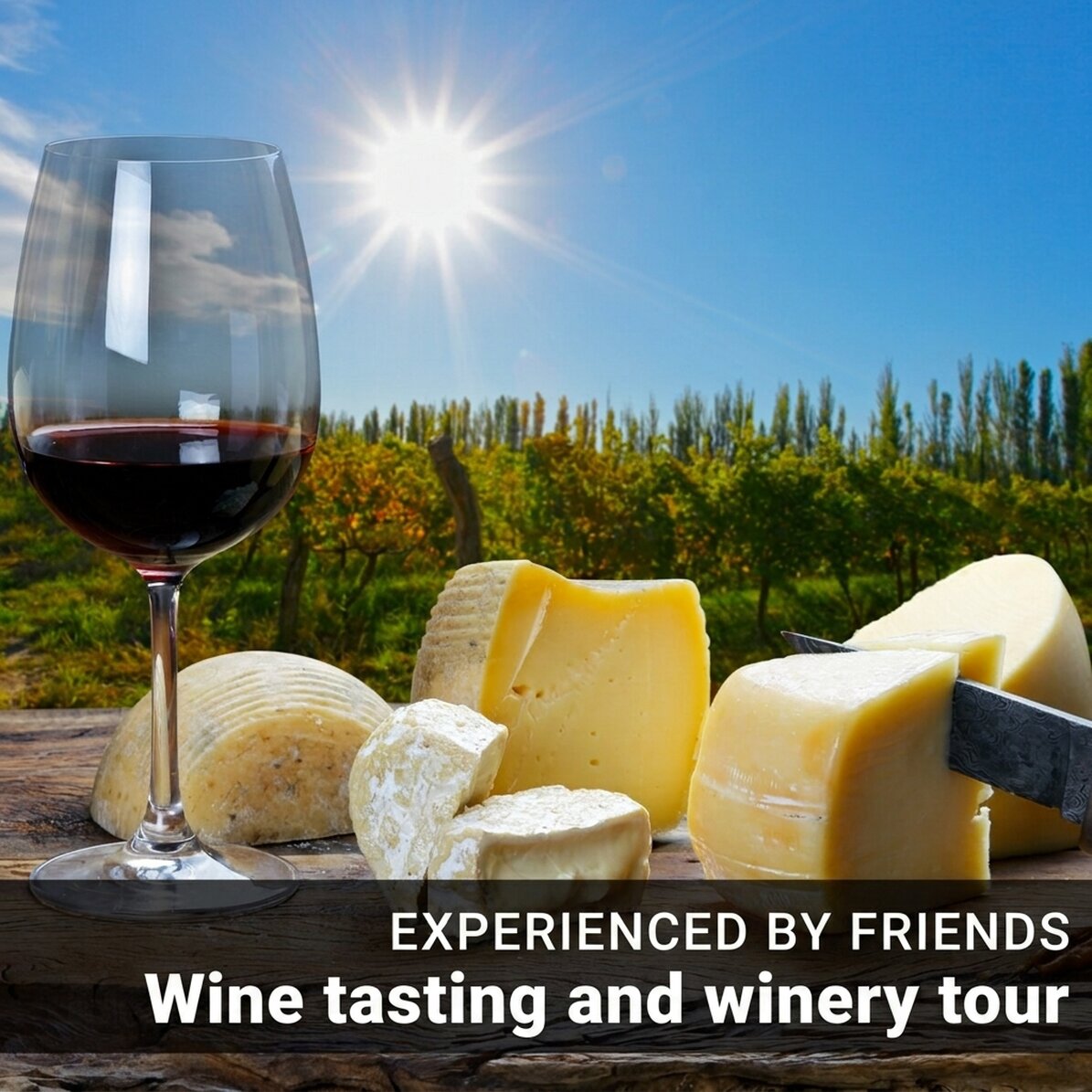 Gift experience with friends - Wine tasting and tour of the Budureasca winery