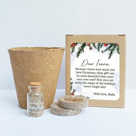 Fir tree seed planting kit in a personalised box with a Christmas message