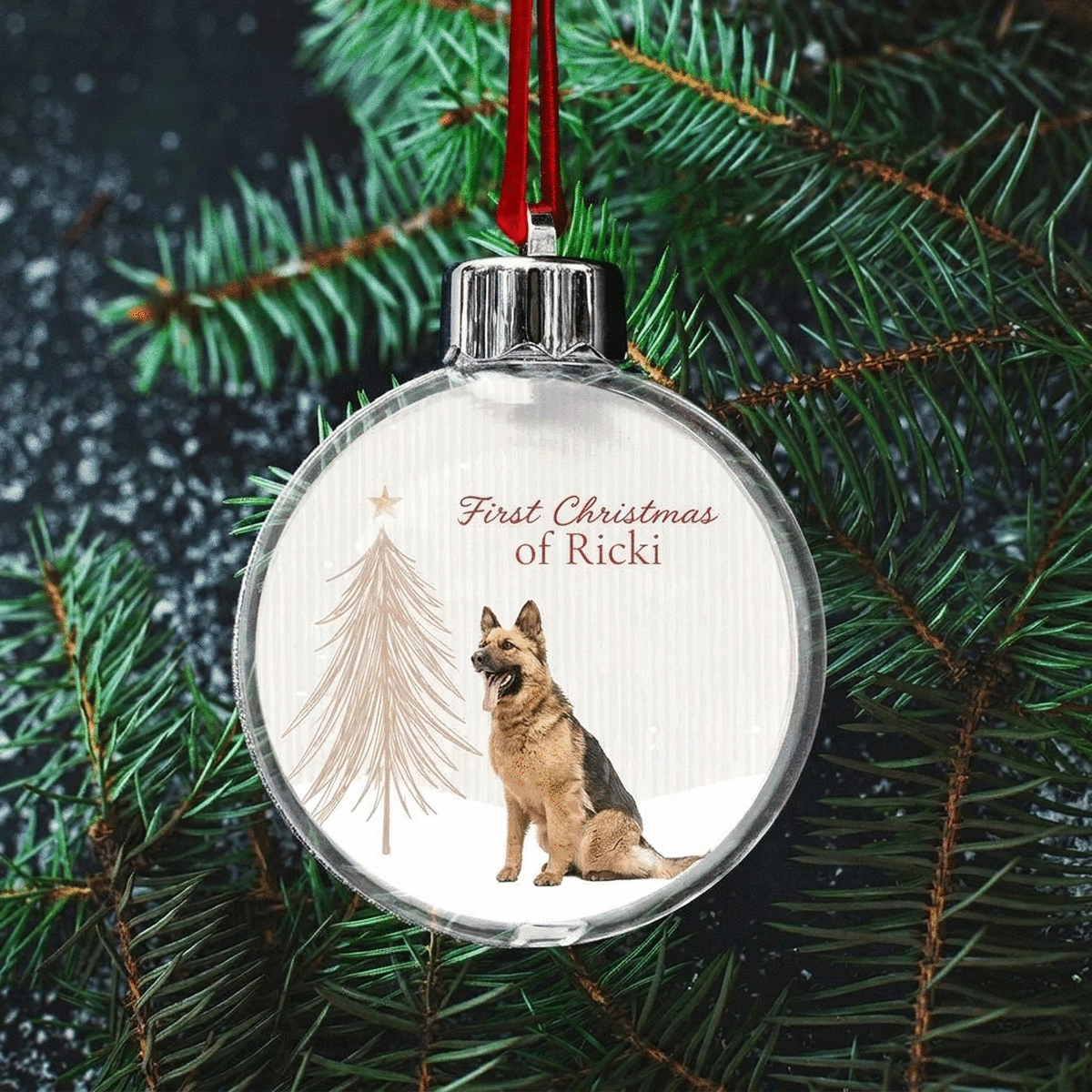 Customised double-sided transparent globe with a photo and message - First Furry Christmas