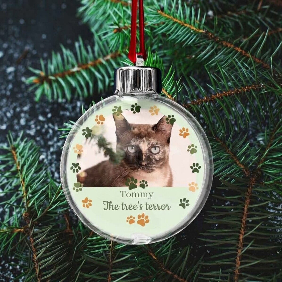 Personalised globe with message and photo - Animal