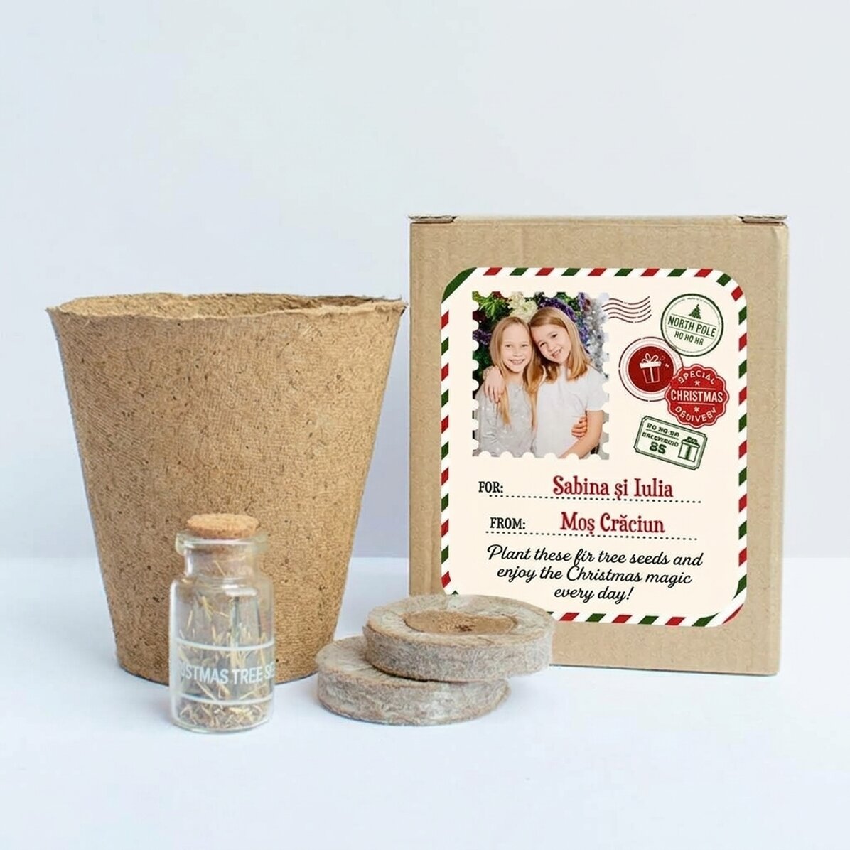 Fir tree seed planting kit in a personalised box with photo and message - From Santa Claus