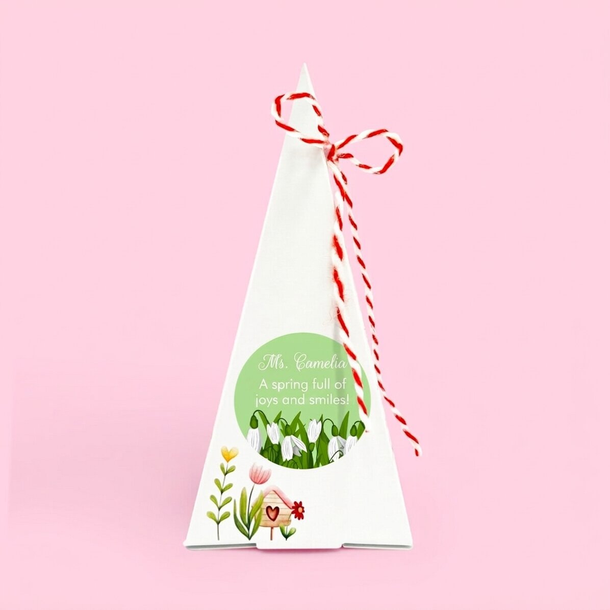 Personalised flower planting kit with text - Snowdrops