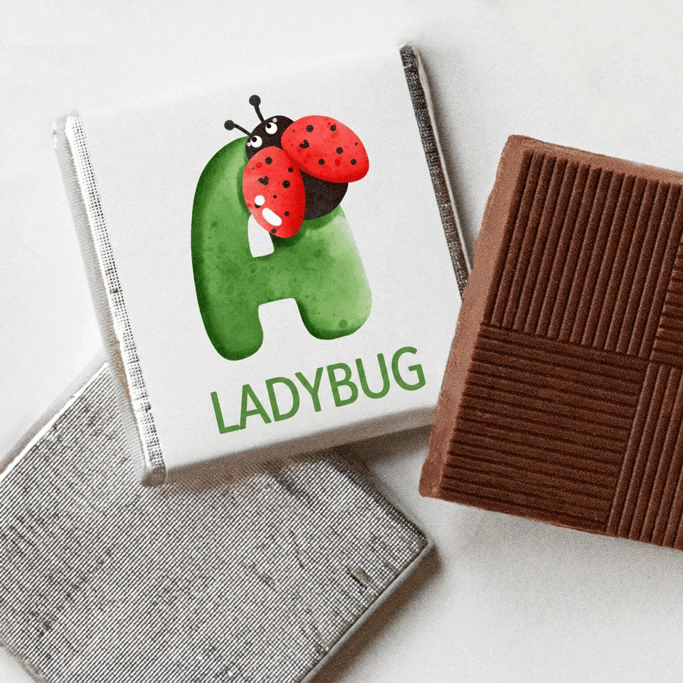 Mini chocolate personalised with name and initial - Ladybird