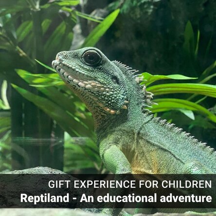 Gift experience for children - Reptiland - an educational adventure