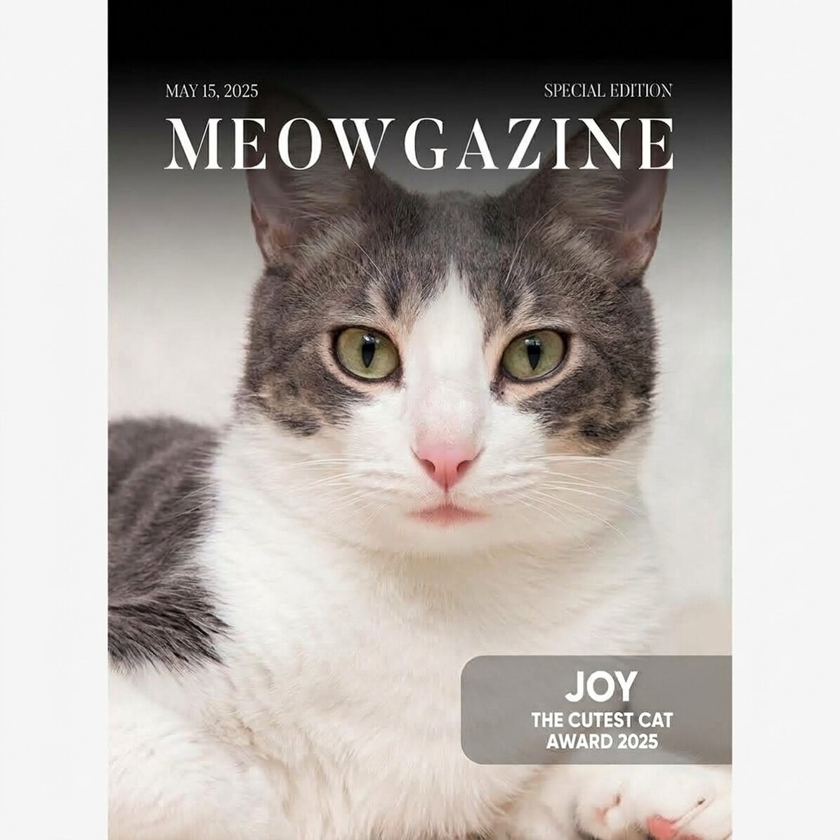 Personalised poster with photo and text - Meowgazine