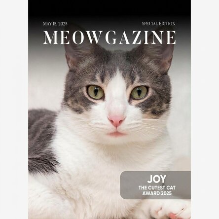 Personalised poster with photo and text - Meowgazine