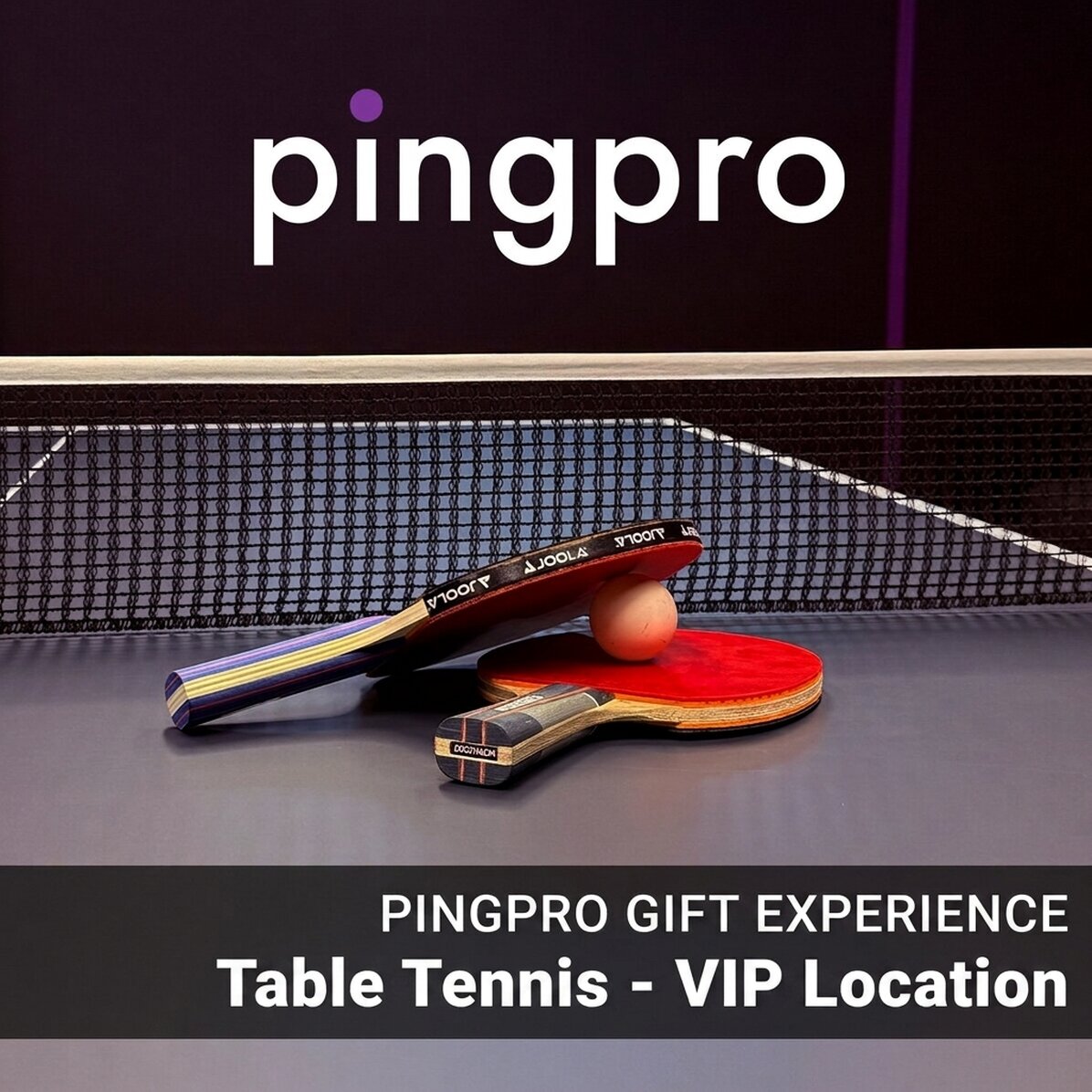 Exclusive VIP gift experience - Table tennis - PINGPRO