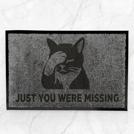 Customised indoor entrance mat - Facepalm